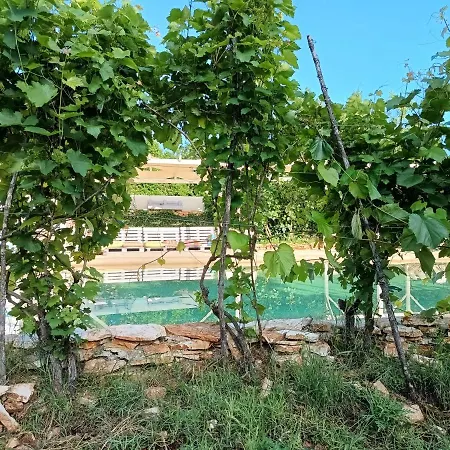 Smilje Villa Vodnjan